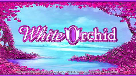 white orchid slots
